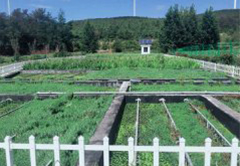 曲靖市马龙县马鸣乡人工湿地